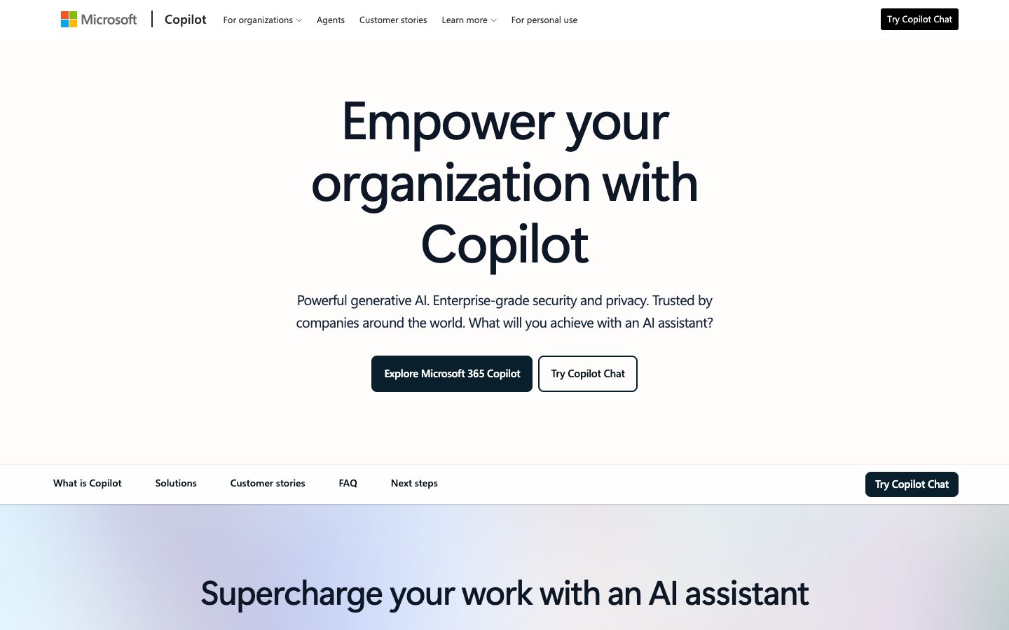 Microsoft Copilot — Screenshots 1