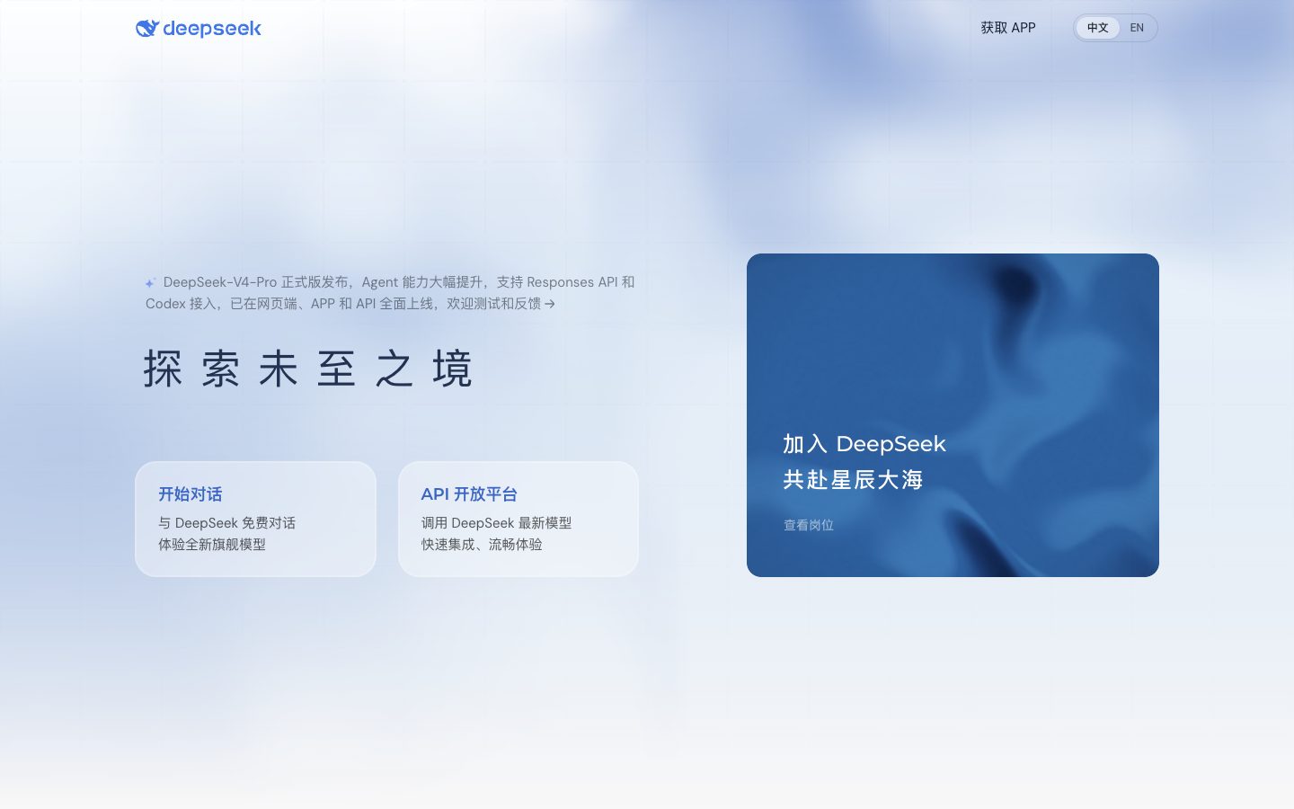 DeepSeek — Screenshots 1