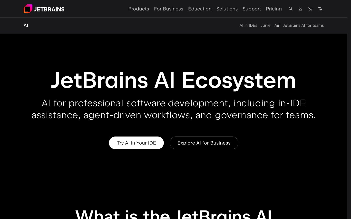 JetBrains AI Assistant — Screenshots 1