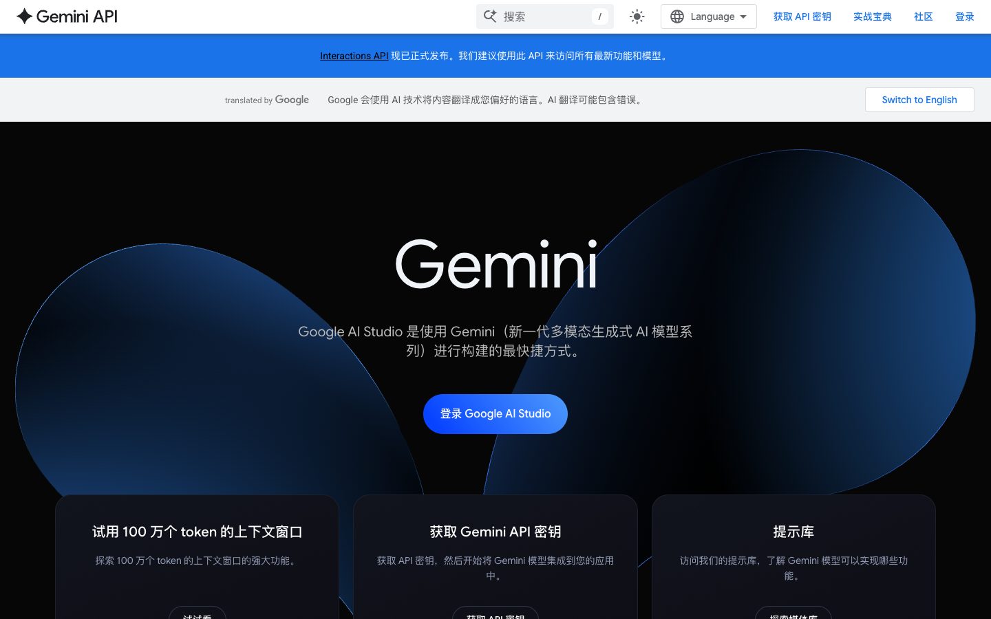 Google AI Studio — Screenshots 1