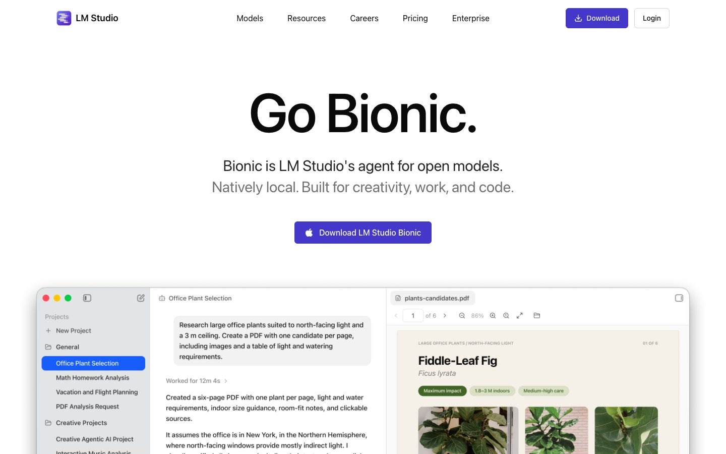LM Studio — Screenshots 1