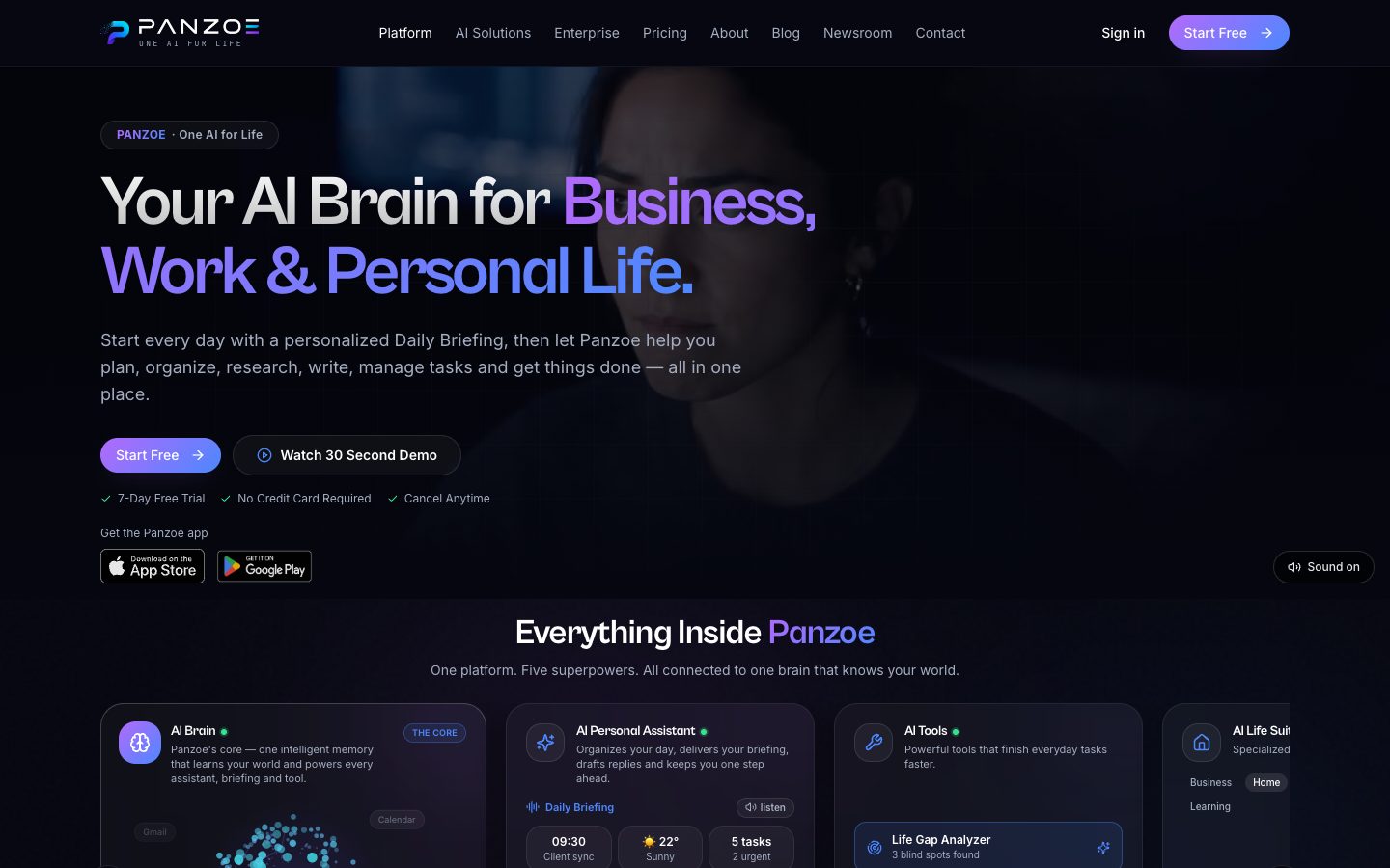 Panzoe.ai preview